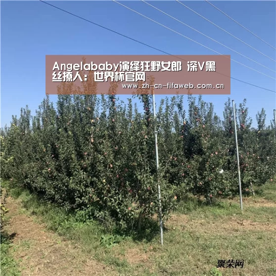 Angelababy演绎狂野女郎 深V黑丝撩人:世界杯官网(图2) FIFA世界杯