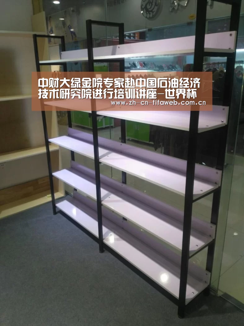 中财大绿金院专家赴中国石油经济技术研究院进行培训讲座-世界杯