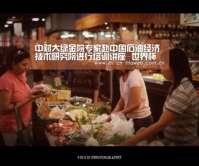 中财大绿金院专家赴中国石油经济技术研究院进行培训讲座-世界杯(图2) FIFA世界杯