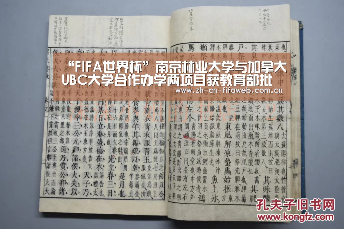 “FIFA世界杯”南京林业大学与加拿大UBC大学合作办学两项目获教育部批准(图4) 世界杯官网